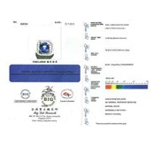 Exclusive Hot Royal Blue SAPPHIRE Star Crystal Metallic - SPS 214