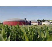 Biogas Energy