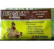 OBAT CHOLERA AYAM BIOCILIN