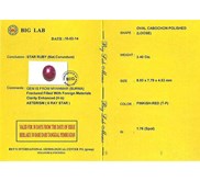 Exclusive Vivid Red RUBY Star Mogok Burma - RBS 263
