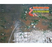 Cacing sutra area seyegan godean muntilan magelang