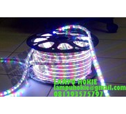 LED Strips 5050 RGB Multi Color 220VAC