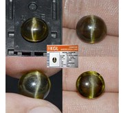 APR1510 - Tourmaline Cats Eye