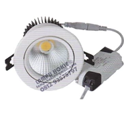 Down Light LED Cob warna White & Warm White