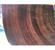 Kayu Rengas ( Kebaca) Gunung - Kalimantan Barat