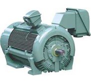 TECO ELECTRIC MOTOR EDDY CURRENT MOTORS TYPE EDVS