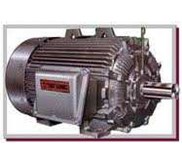 TATUNG ELECTRIC MOTOR 2 POLE