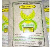 Benih padi unggul Mugibat