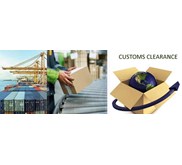 Customs Consultant