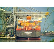 Domestics Sea and Air Freight