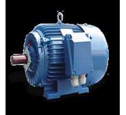 ELECTRIM CANTONI ELECTRIC MOTOR 2 POLE