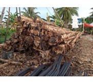 Kayu Gelam di Surabaya ( jawa timur )