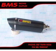 Silencer Akrapovic Carbon Style