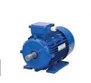 BOLOGNA AC ELECTRIC MOTOR GEAR MOTOR PT SARANA MOTOR