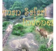 SAFARI BATU TOUR