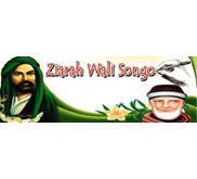 pilgrimage visit ( wali sembilan)