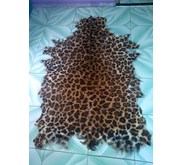 kulit kambing motif harimau dan leopard