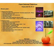 Paket dekorasi pelaminan