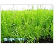 HERBISIDA Pemberantas Rumput & Gulma - GEMPA 300/ 100 SL