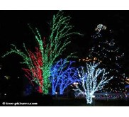 POHON NATAL TINGGI DENGAN COLORFUL LAMPU LED