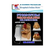 PHANTOM PERSALINAN - IBU MELAHIRKAN ELEKTRIK | CHILD BIRTH TRAINING SIMULATOR | DUMEDPOWER | PRODUK BARU