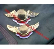 Pin Wing