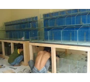 Kantor Kementerian Kelautan & Perikanan - Ternate