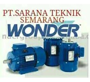 Wonder Electric Motor
