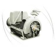 High Voltage 3 Phase Motors