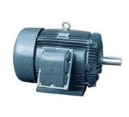 Explosion Proof Motors