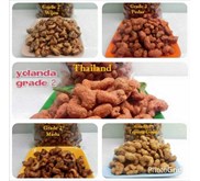 Grosir Kacang Mede Matang Murah Yolanda Grade 2
