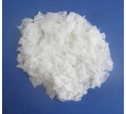 Palm Wax