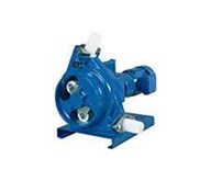 Z Series Peristaltic Pump