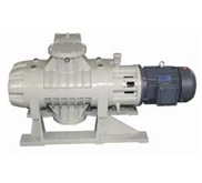 ZJ Roots Vacuum Pump
