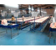 HELPER PRODUKSI