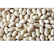 * * * * * supplier kacang tanah kupas * * * * *