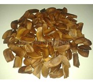 * * * * * mahogany seeds * * * * *