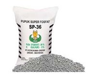 PUPUK SP 36