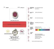 Elegant Metallic Red Fanta RUBY Mozambique - ( RBS 304 + Memo )