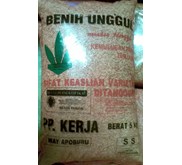 Benih Padi Unggul Way Apoburu