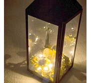 Lampu rotan 2, 5 meter LED 20 bola CE plug