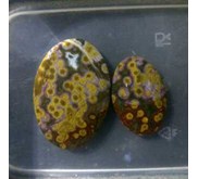 Batu akik Telur Katak / Telur Kodok