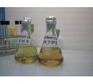 Minyak Nilam ( Patchouli Oil)