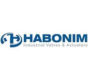 Habonim Valve