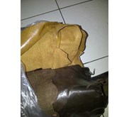 Sapi miling / pull up