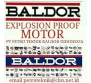 BALDOR AC ELECTRIC MOTOR DISTRIBUTOR IN INDONESIA