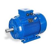 Marelli Induction Motor 