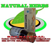 PEREM LANTIK 35ml code 1671