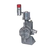 Williams Pump