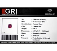 GST1426 - Ceylon Ruby
